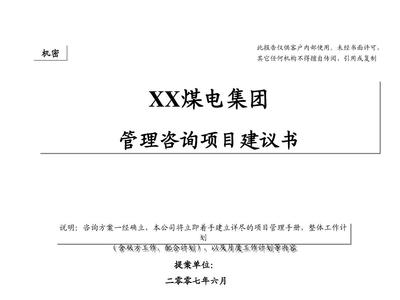 XX战略建议书 企业管理咨询的关键路径与实施指南